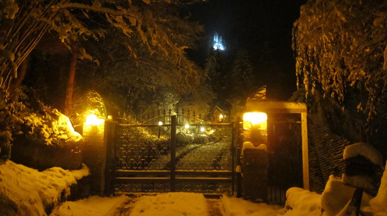 Chalet éclairé en hiver (2)